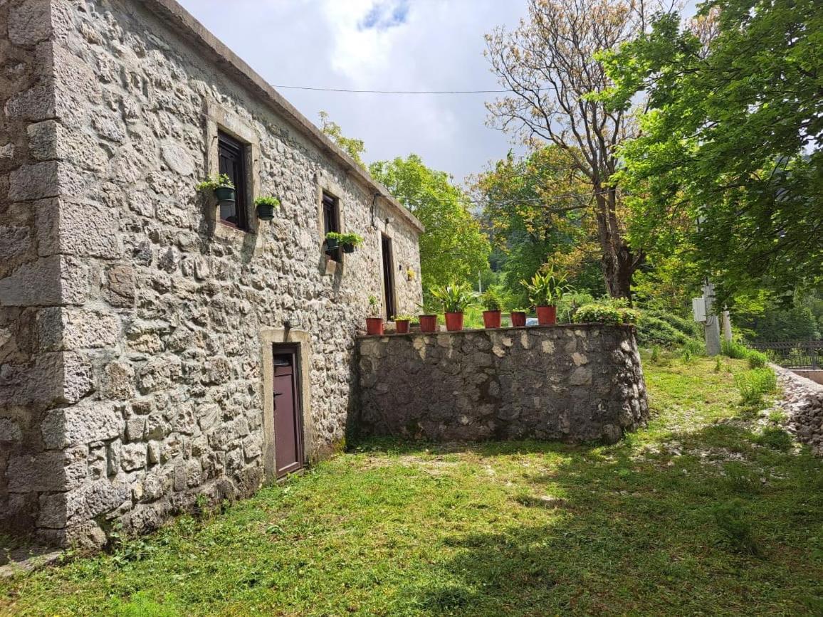 Nature Escape Montenegro Kotor Exterior foto
