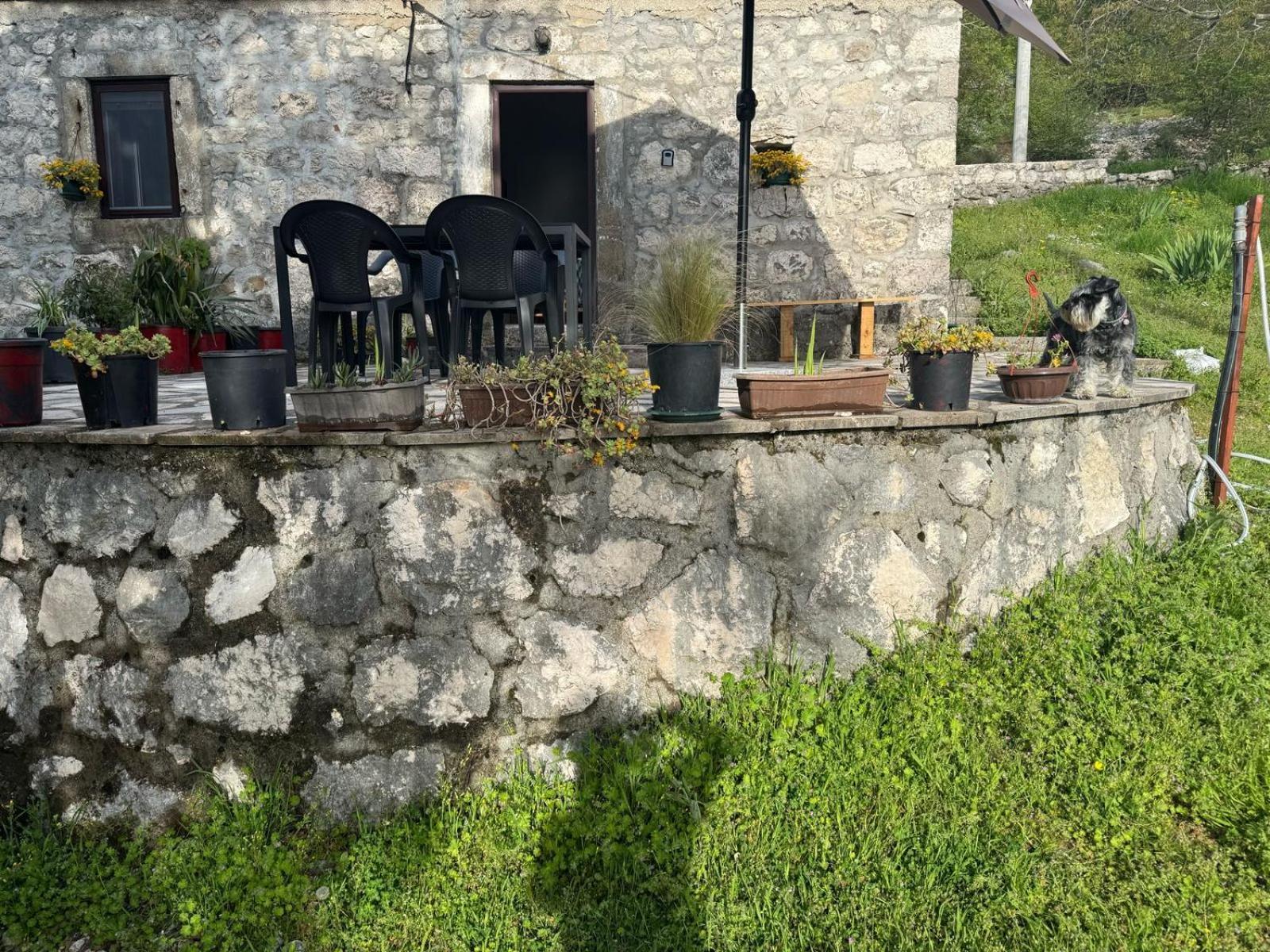 Nature Escape Montenegro Kotor Exterior foto